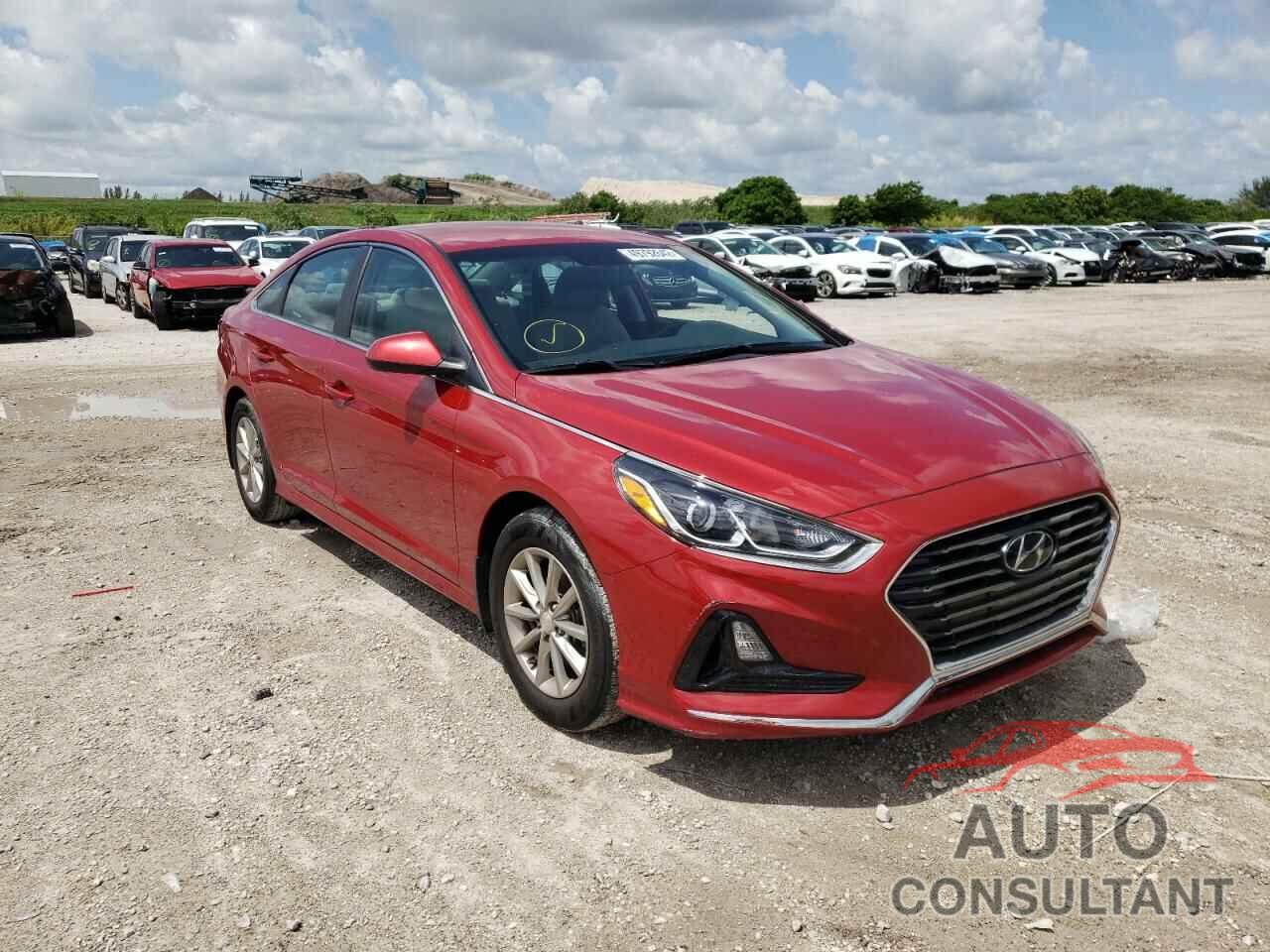 HYUNDAI SONATA 2019 - 5NPE24AF0KH799892