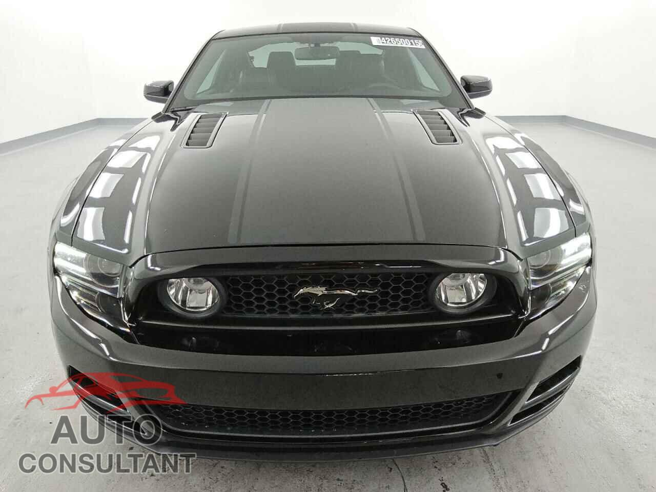 FORD MUSTANG 2013 - 1ZVBP8CF8D5269839