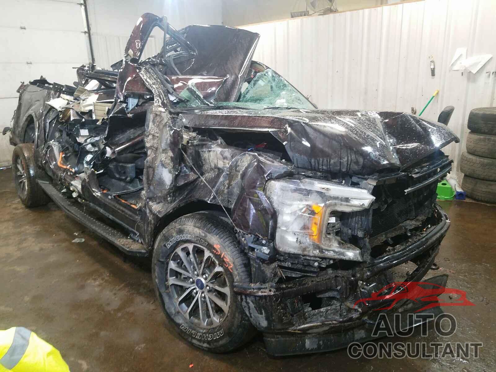 FORD F-150 2019 - 1FTEW1E50KFC51602