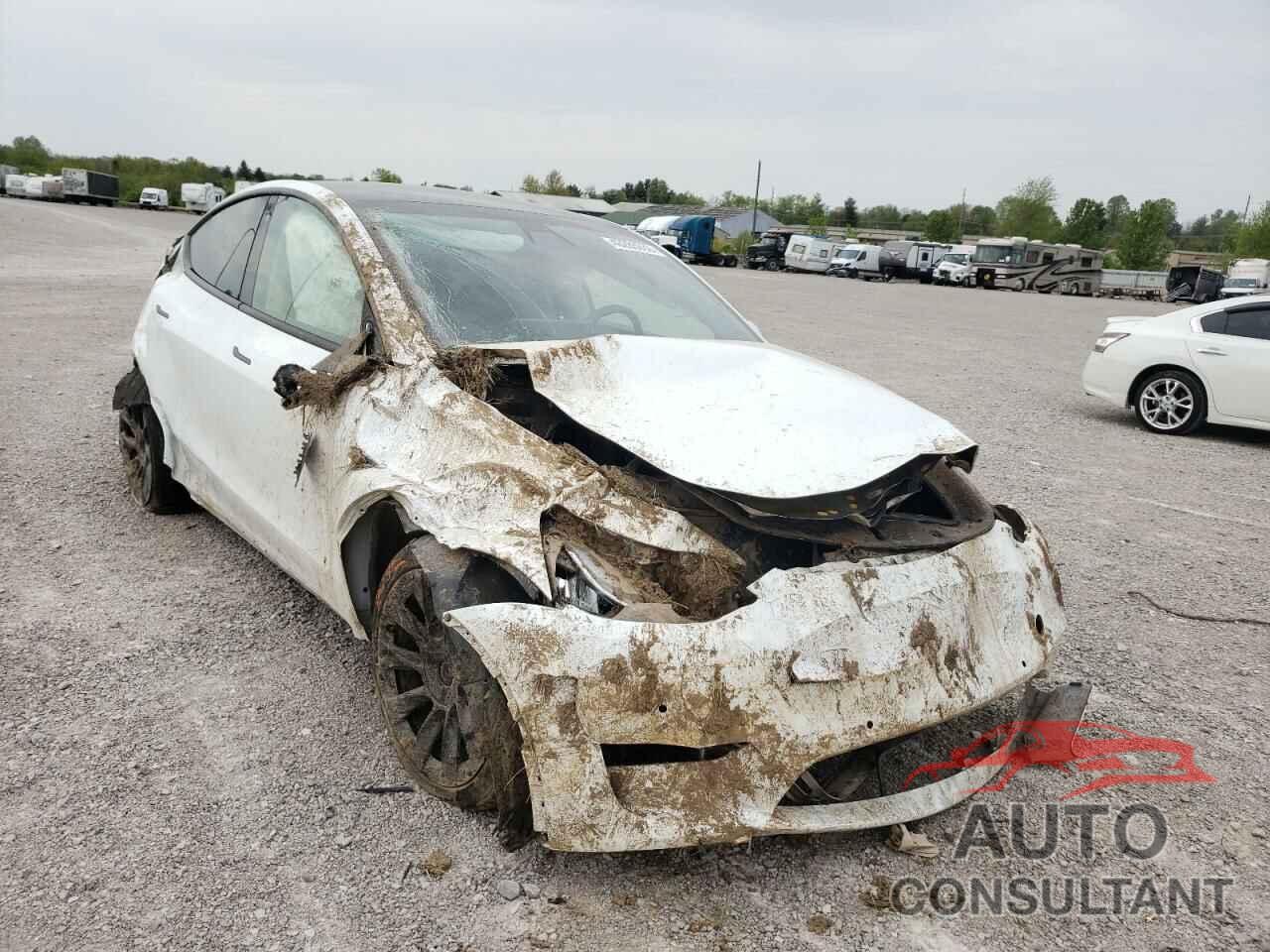TESLA MODEL Y 2020 - 5YJYGDEE7LF029396