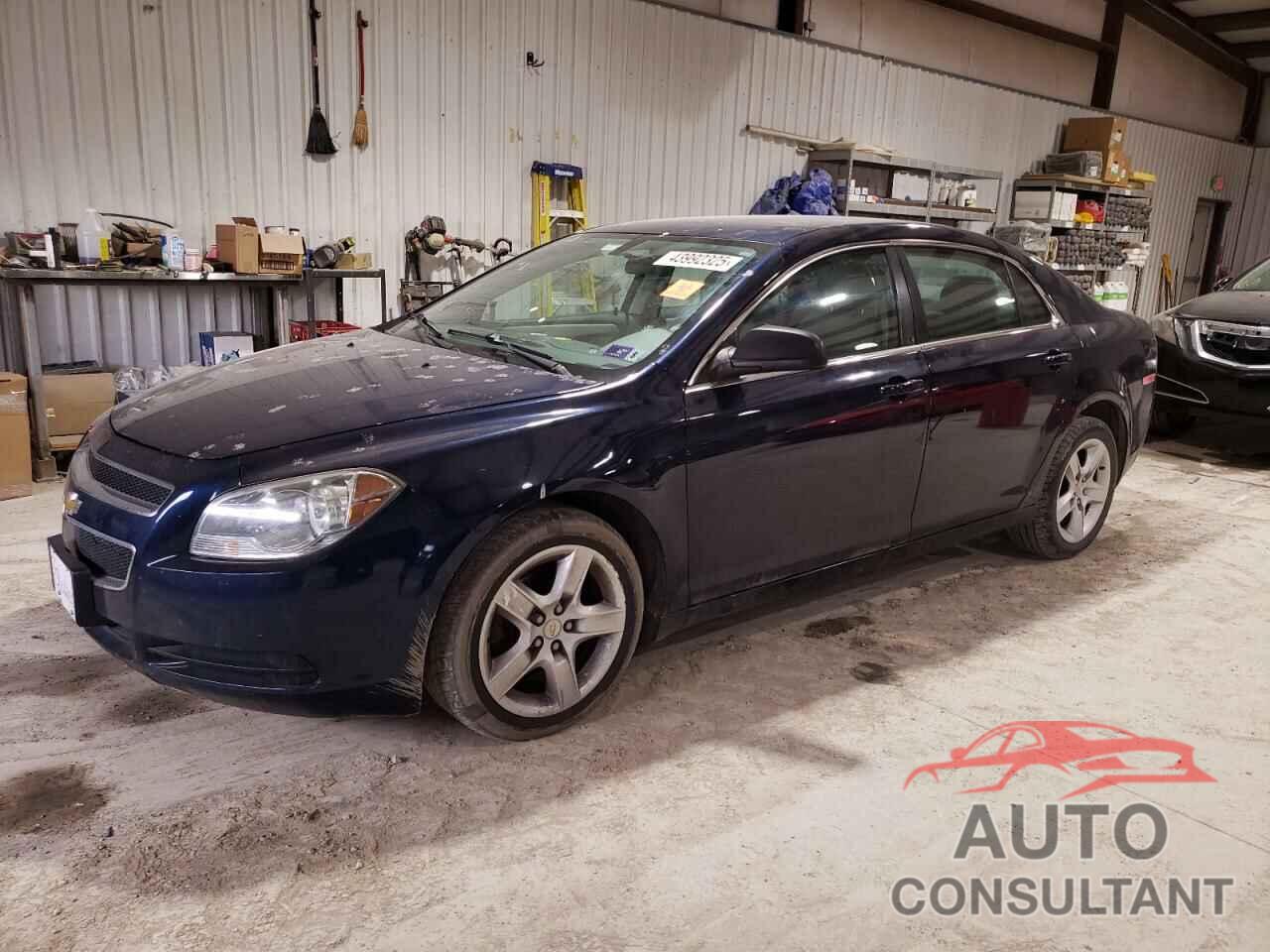 CHEVROLET MALIBU 2011 - 1G1ZA5EUXBF285120