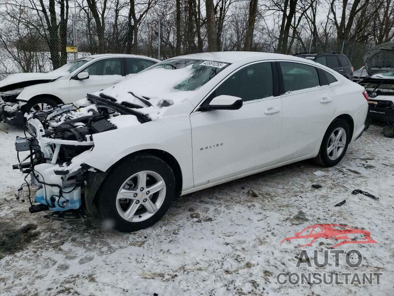 CHEVROLET MALIBU 2024 - 1G1ZC5ST9RF197580