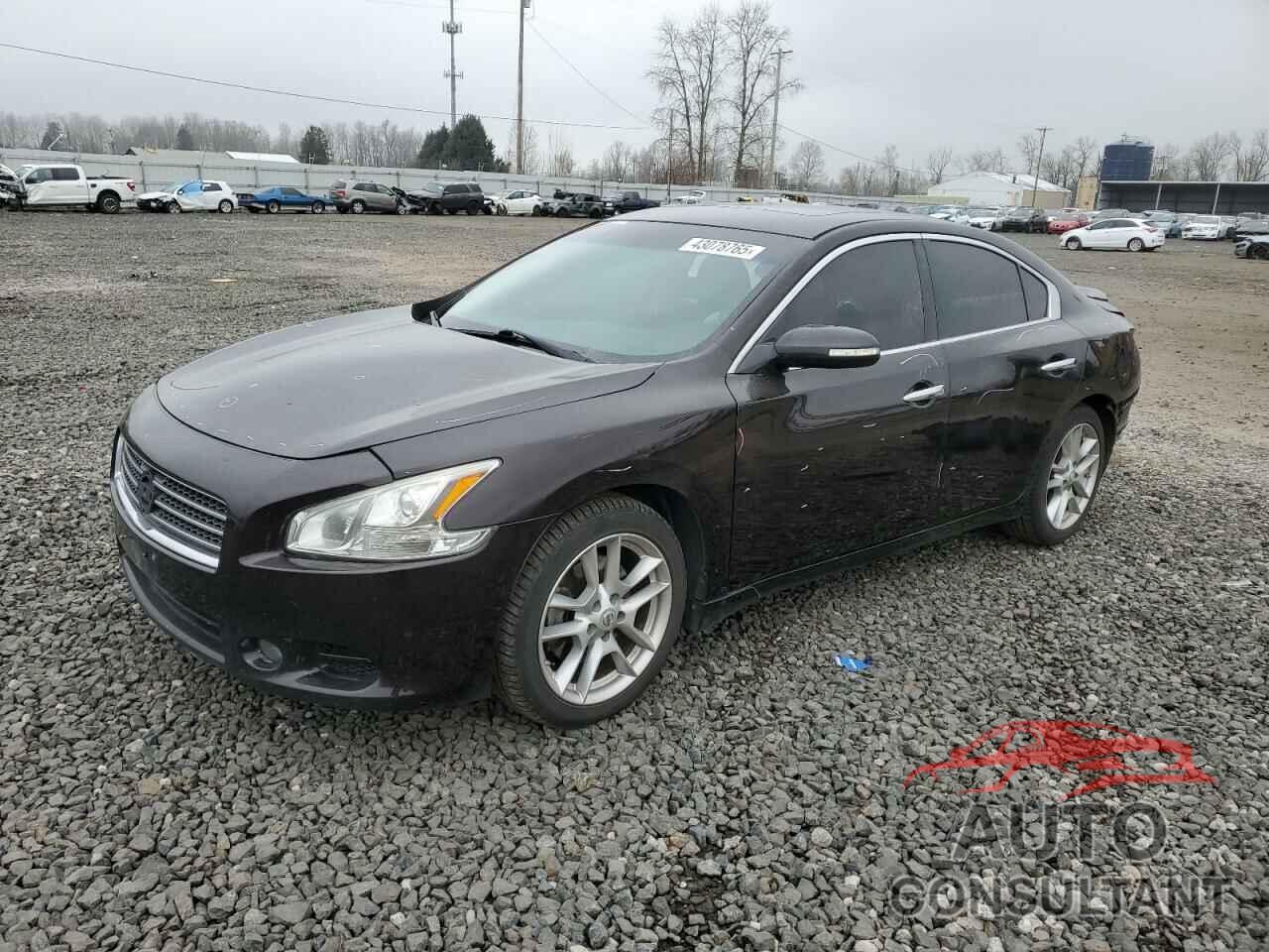 NISSAN MAXIMA 2010 - 1N4AA5AP4AC838208