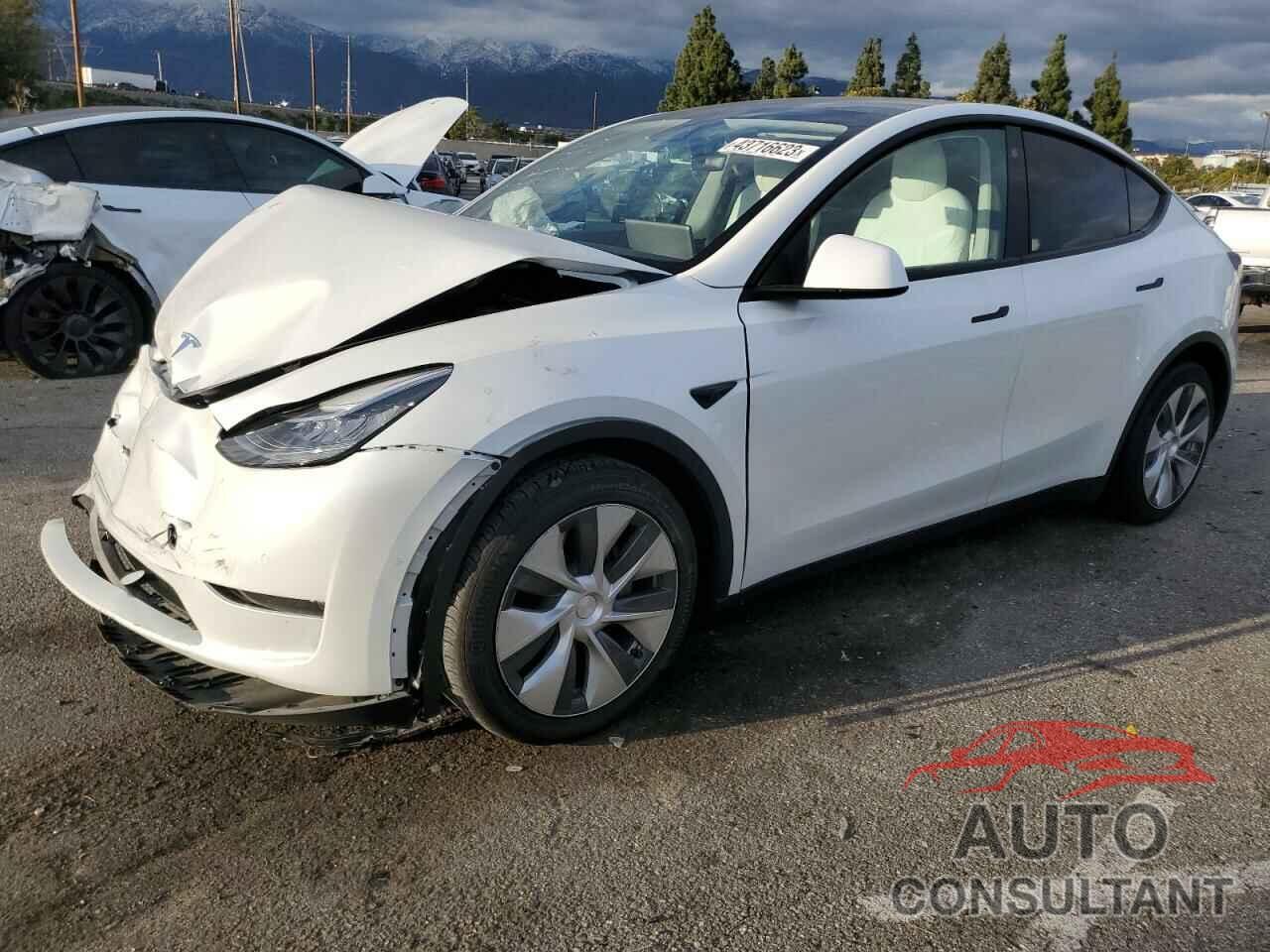 TESLA MODEL Y 2021 - 5YJYGAEE5MF216149