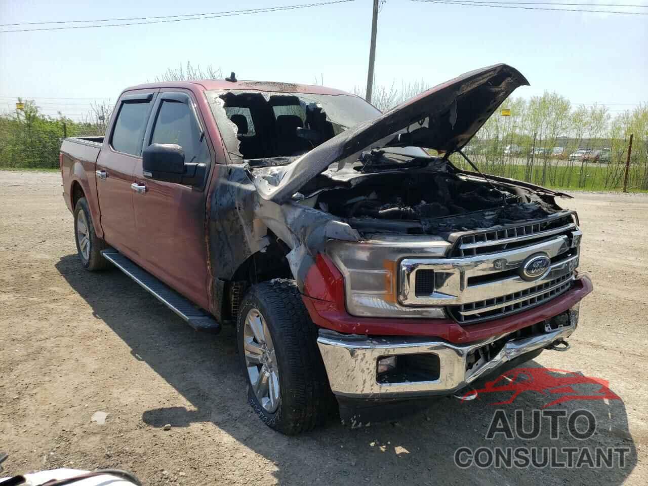 FORD F-150 2019 - 1FTEW1EP6KFA58324