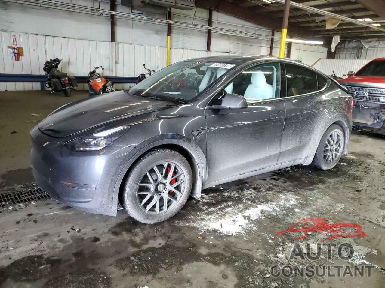 TESLA MODEL Y 2025 - 7SAYGDEF4SA346883