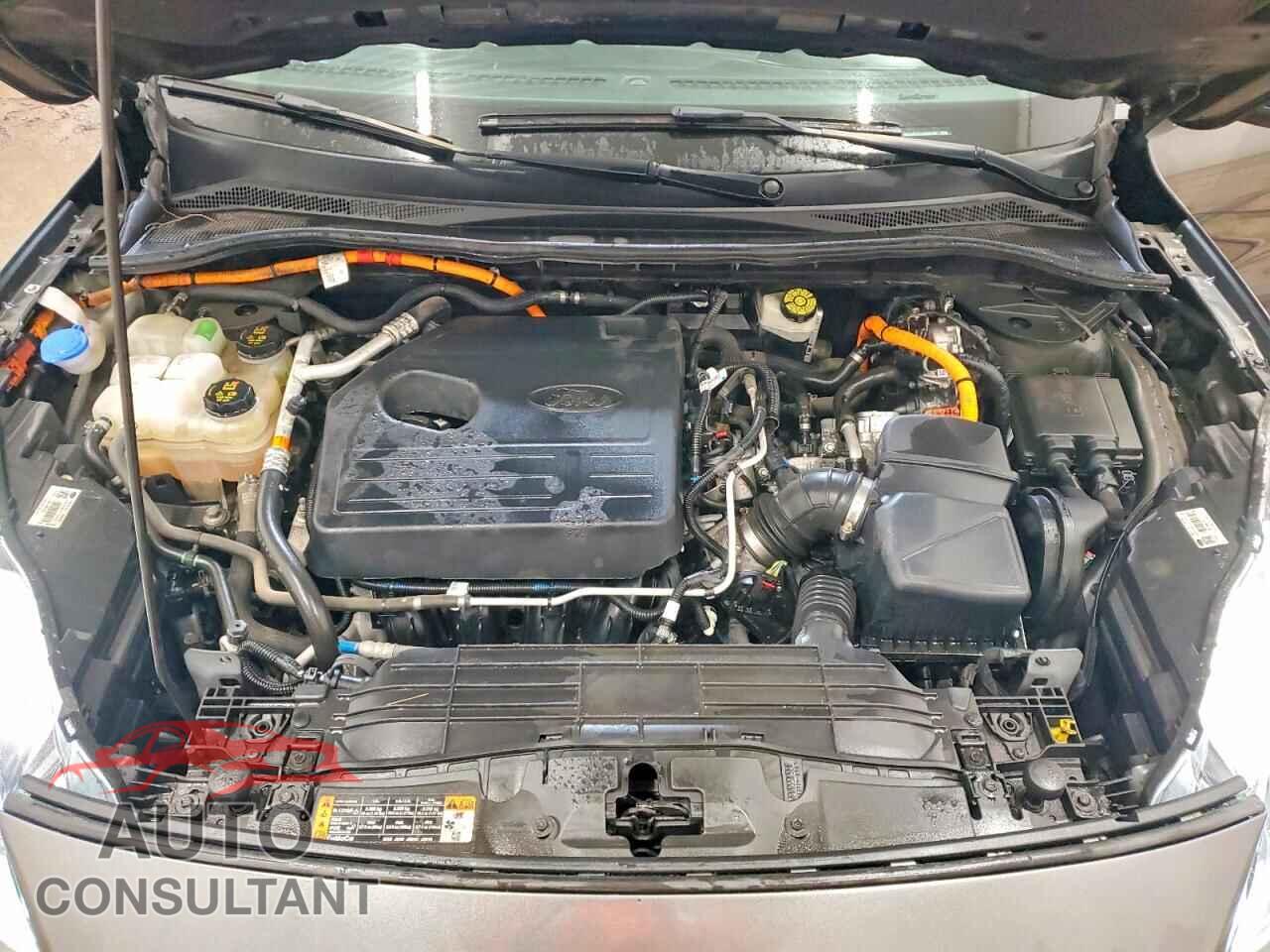 FORD ESCAPE 2020 - 1FMCU9DZ1LUA87091