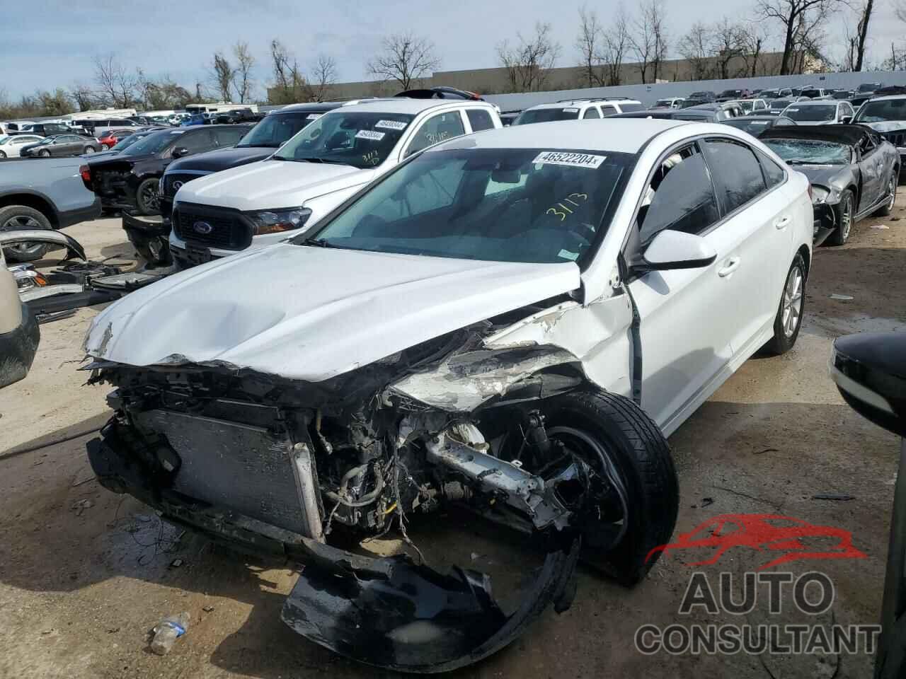 HYUNDAI SONATA 2019 - 5NPE24AF5KH789892