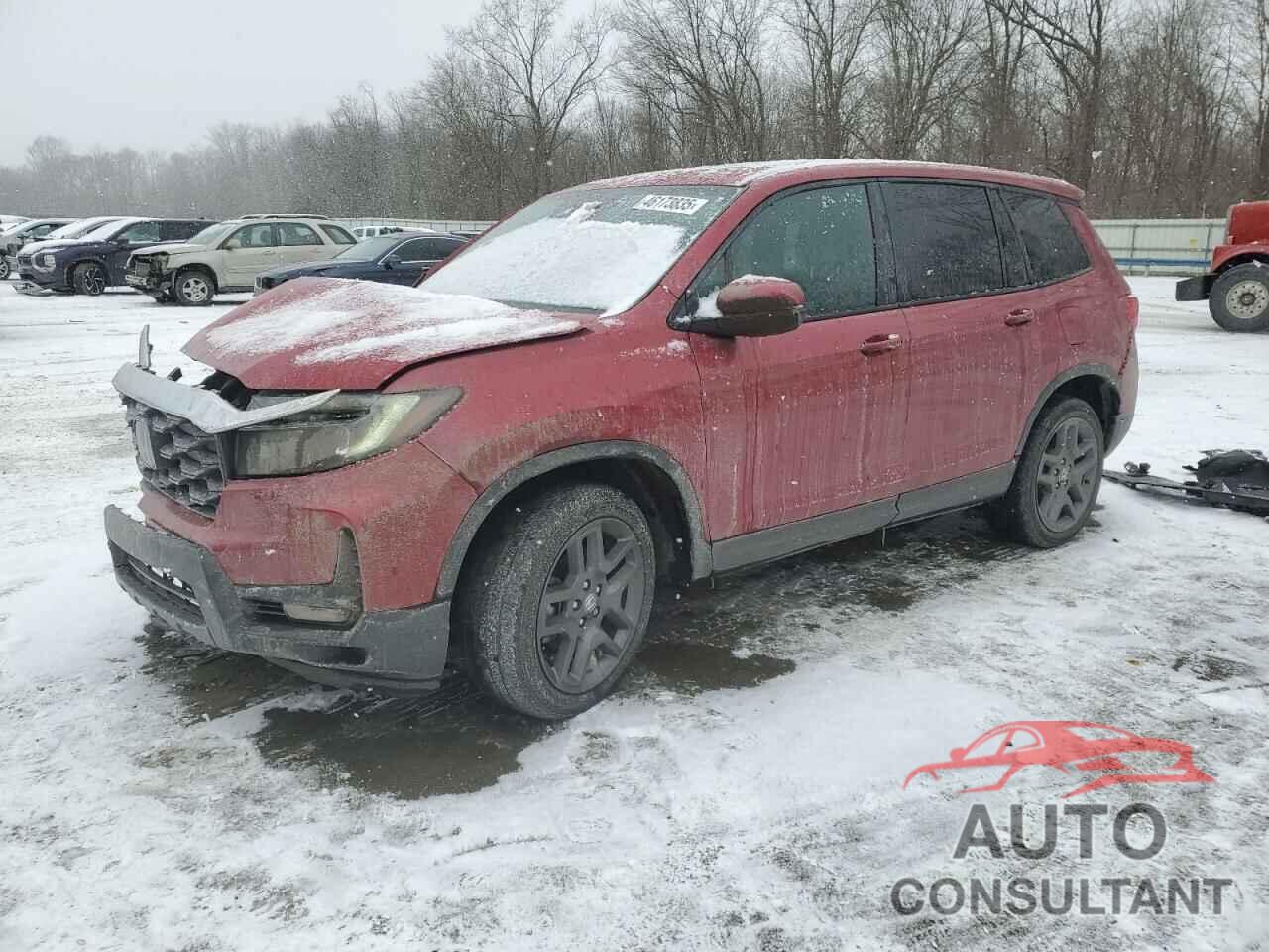 HONDA PASSPORT 2023 - 5FNYF8H58PB013848