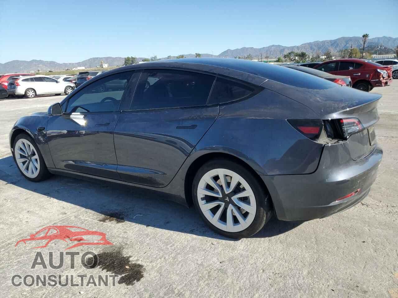 TESLA MODEL 3 2023 - 5YJ3E1EA1PF616548