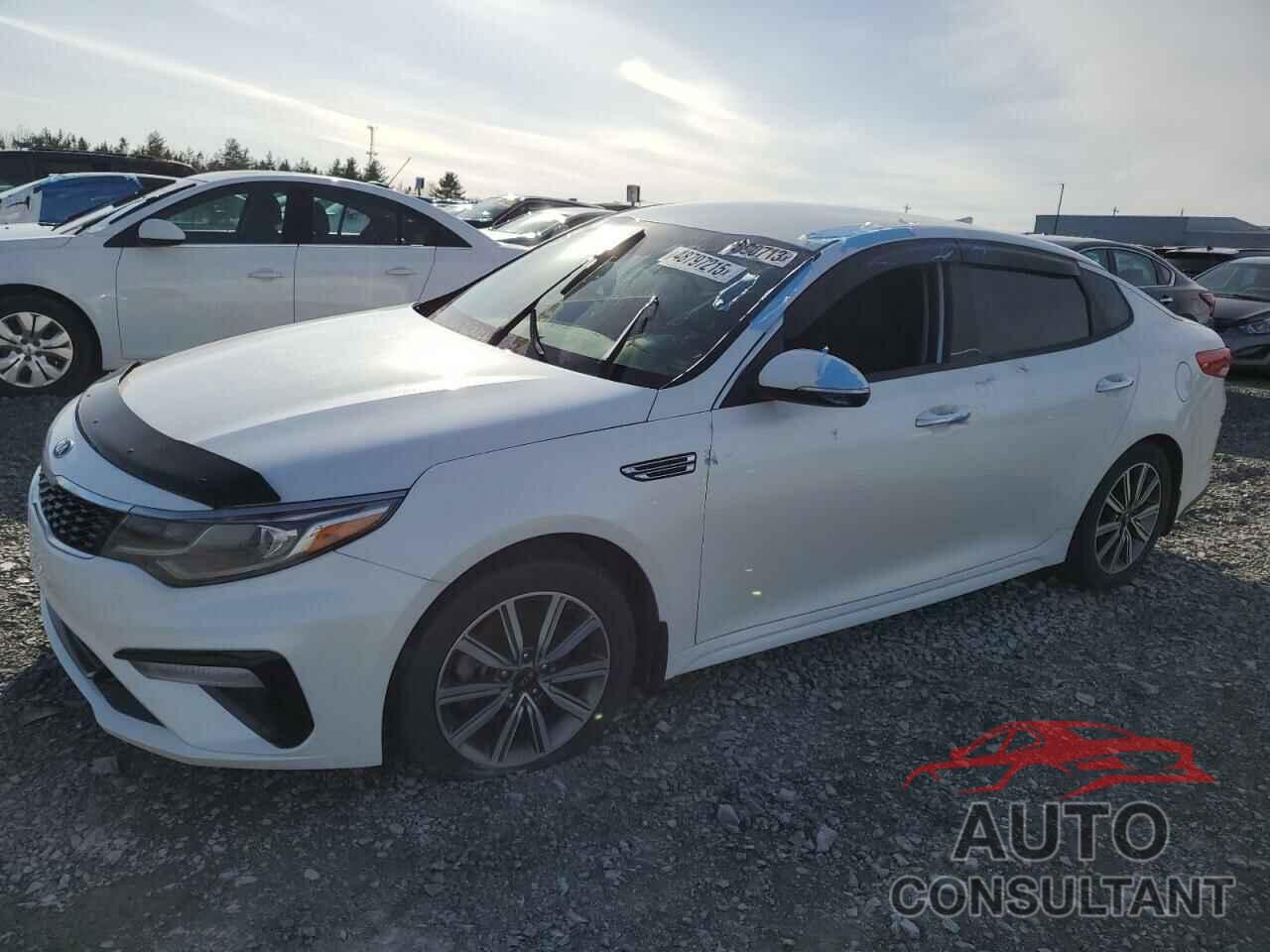 KIA OPTIMA 2019 - 5XXGT4L34KG296855