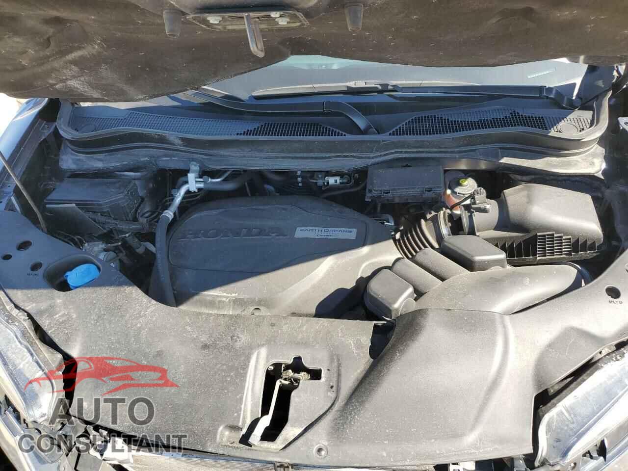 HONDA RIDGELINE 2019 - 5FPYK3F51KB034882