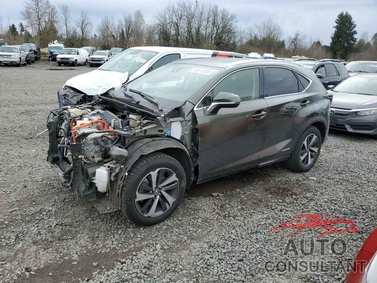 LEXUS NX 2021 - JTJGJRDZ9M2155016