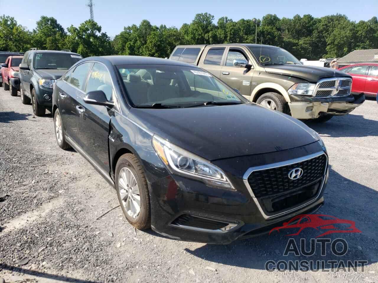 HYUNDAI SONATA 2016 - KMHE24L16GA029109