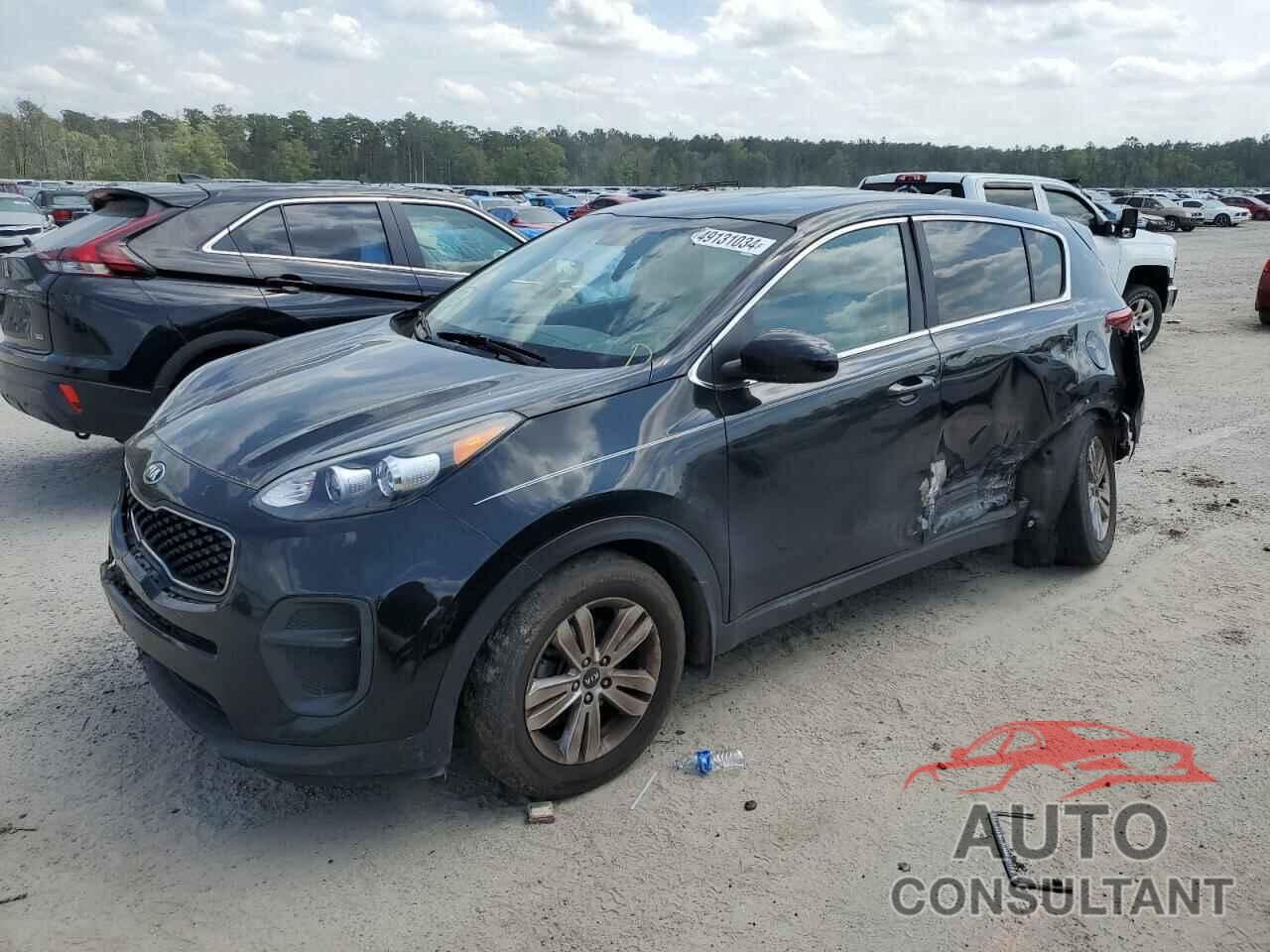 KIA SPORTAGE 2017 - KNDPM3AC6H7206701