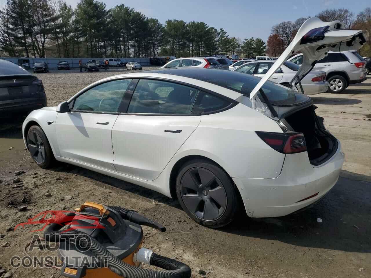 TESLA MODEL 3 2021 - 5YJ3E1EA4MF099600
