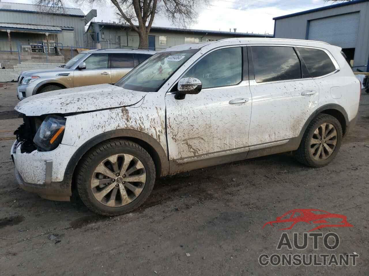 KIA TELLURIDE 2021 - 5XYP3DHC8MG157495