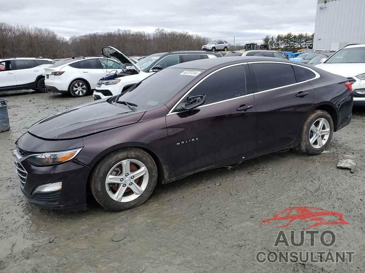 CHEVROLET MALIBU 2021 - 1G1ZB5ST6MF044716