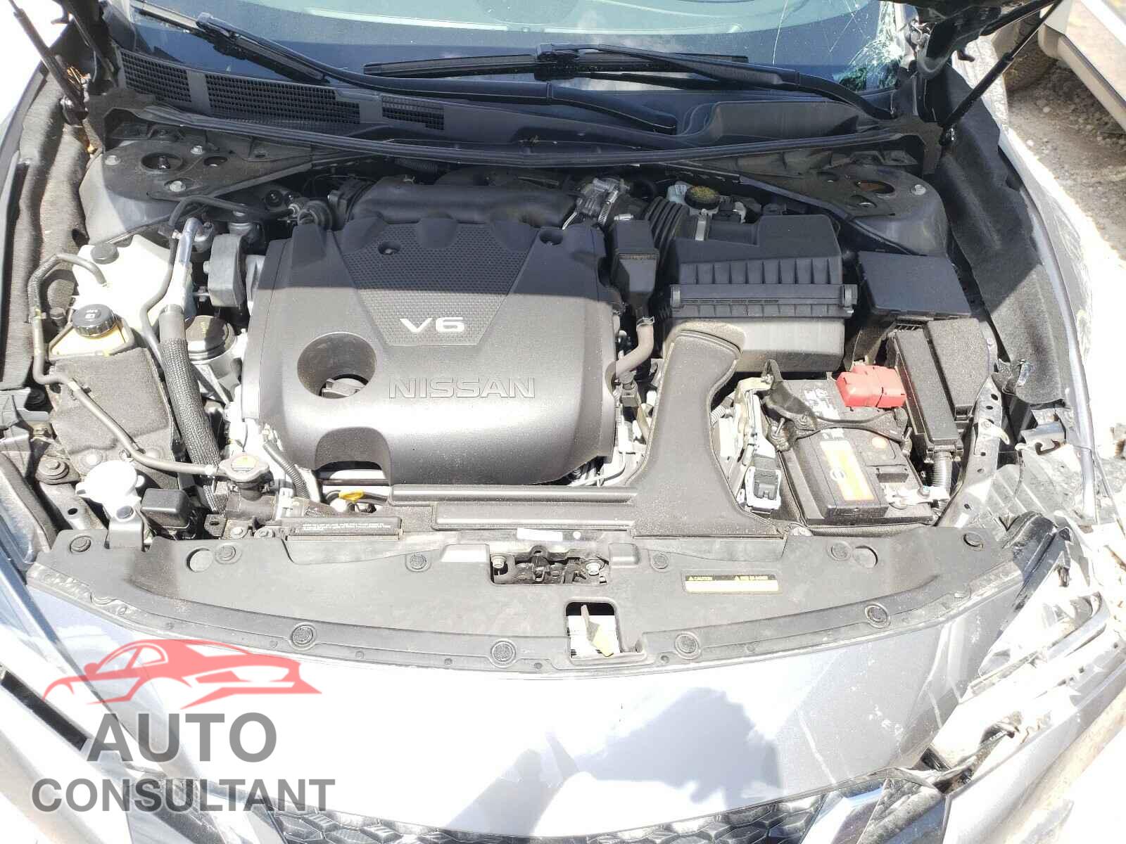 NISSAN MAXIMA 2019 - 1N4AA6AV9KC363256