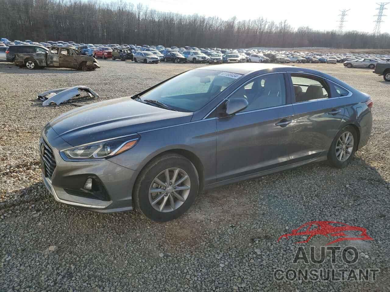 HYUNDAI SONATA 2019 - 5NPE24AF5KH792615