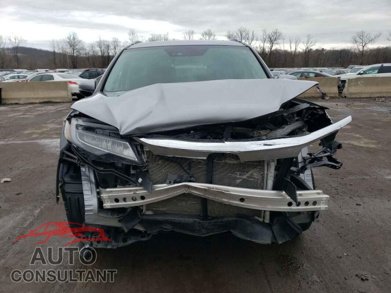 HONDA PILOT 2020 - 5FNYF6H01LB028100