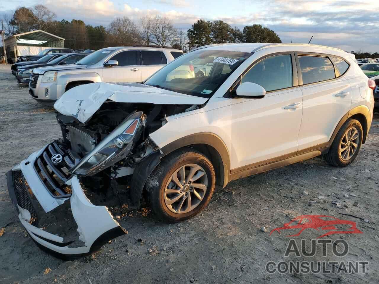 HYUNDAI TUCSON 2016 - KM8J33A40GU089212