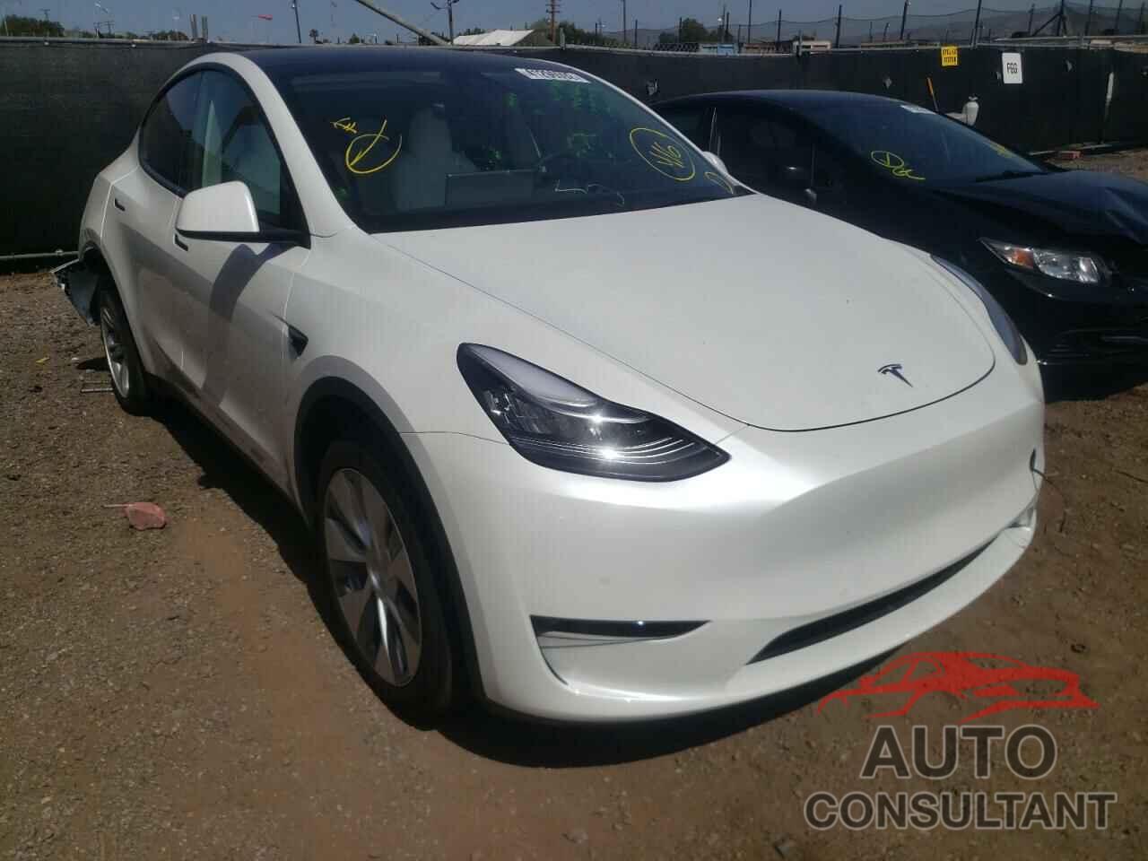 TESLA MODEL Y 2021 - 5YJYGDEE7MF176223