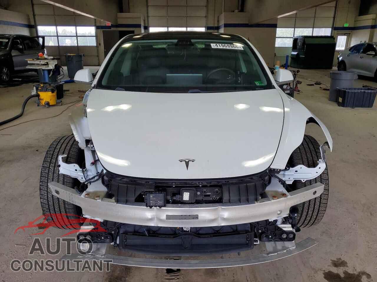 TESLA MODEL 3 2019 - 5YJ3E1EA1KF482567