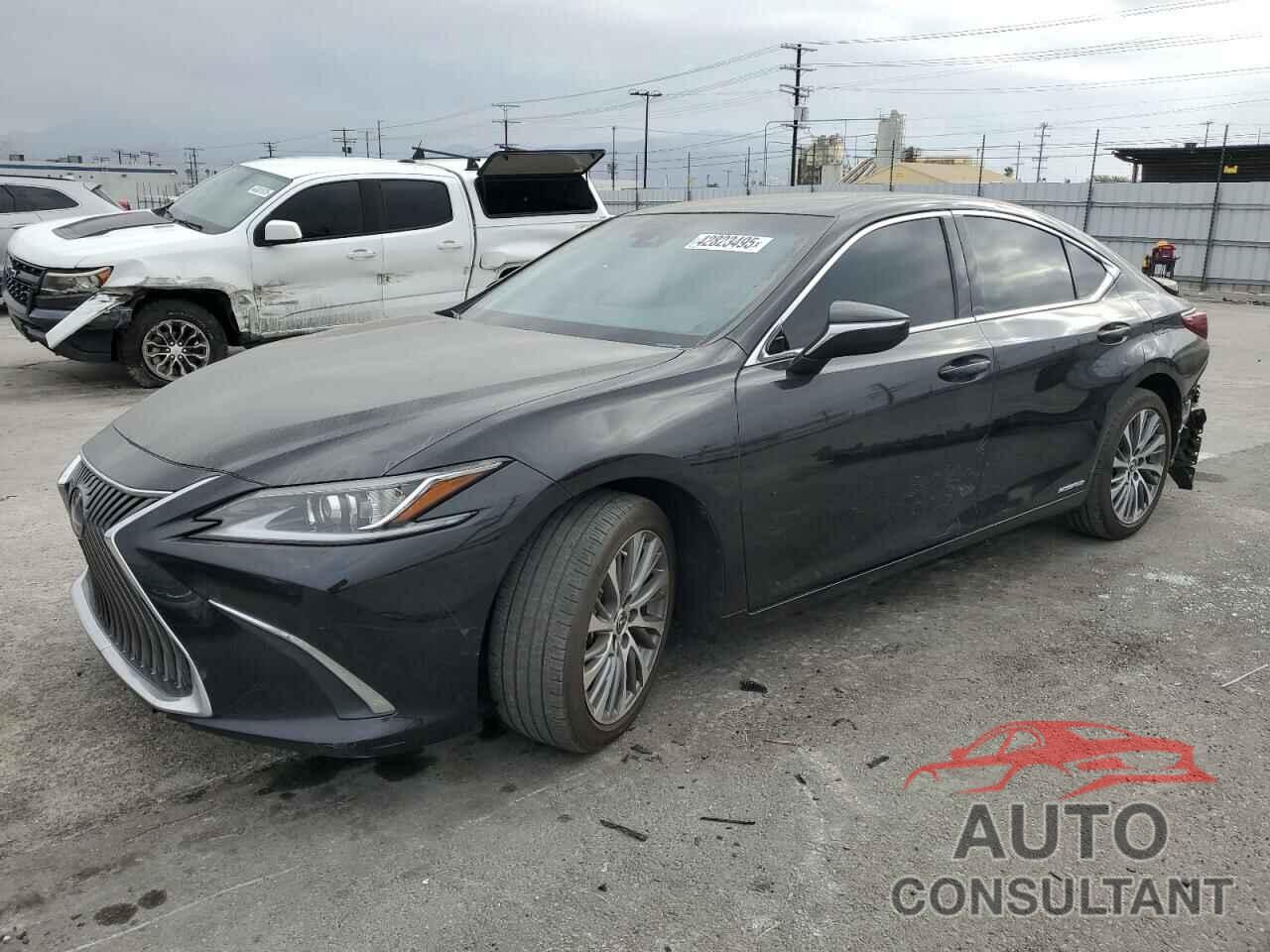 LEXUS ES300 2021 - 58ADA1C12MU001405