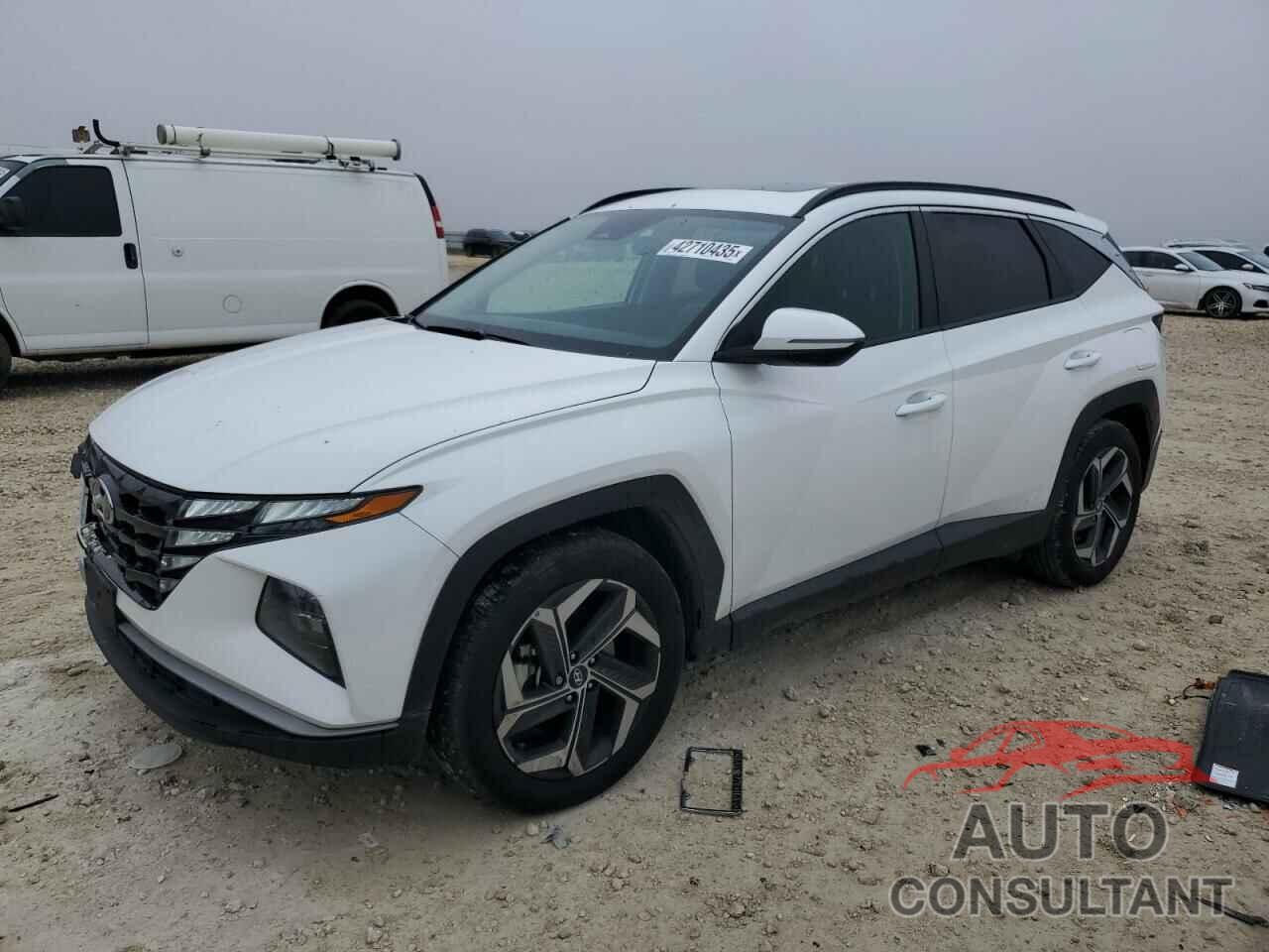 HYUNDAI TUCSON 2024 - 5NMJF3DE0RH321625