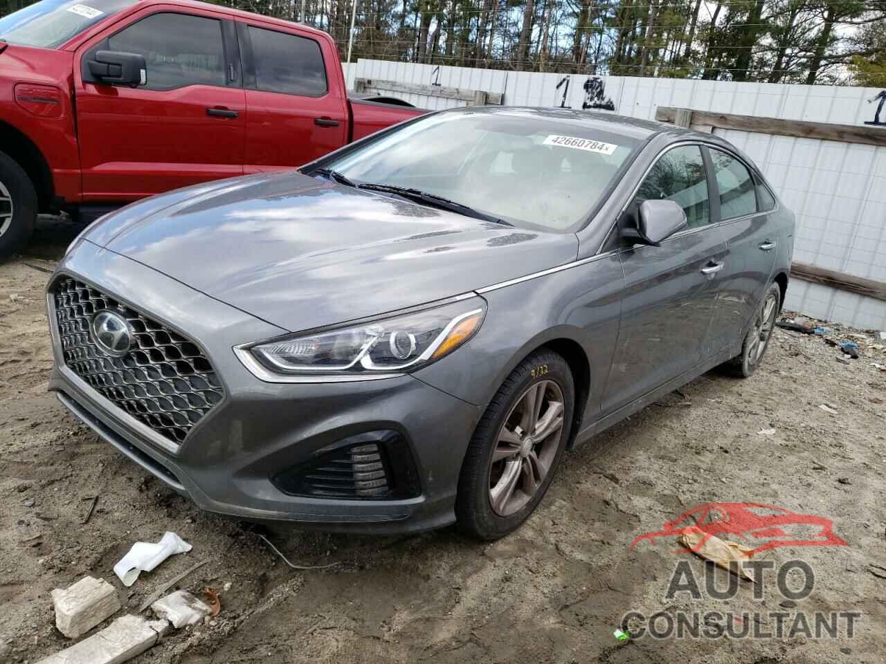 HYUNDAI SONATA 2019 - 5NPE34AF5KH746439