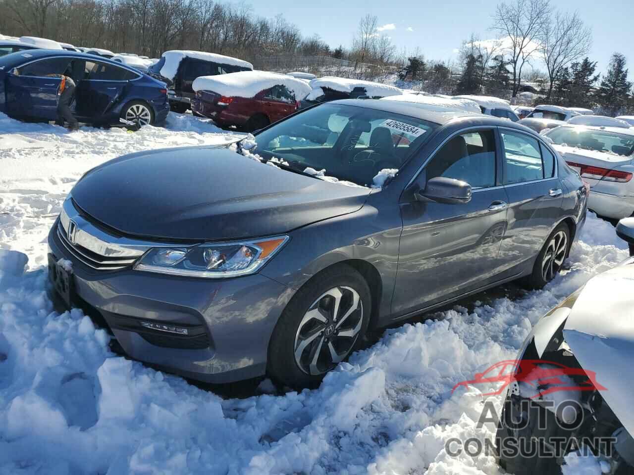 HONDA ACCORD 2016 - 1HGCR2F8XGA177446