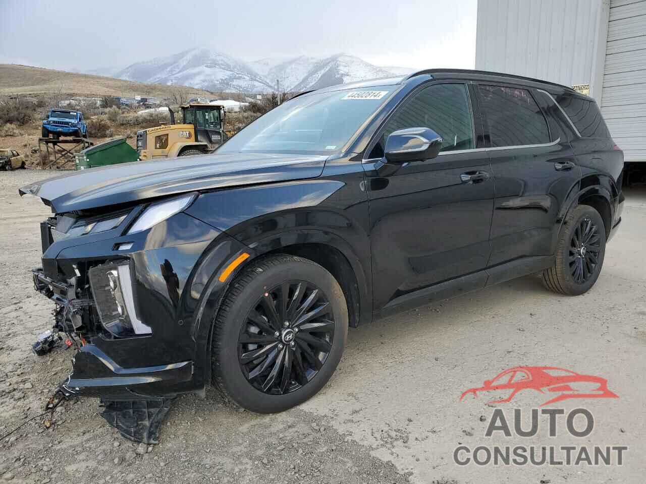 HYUNDAI PALISADE 2024 - KM8R7DGE6RU714308