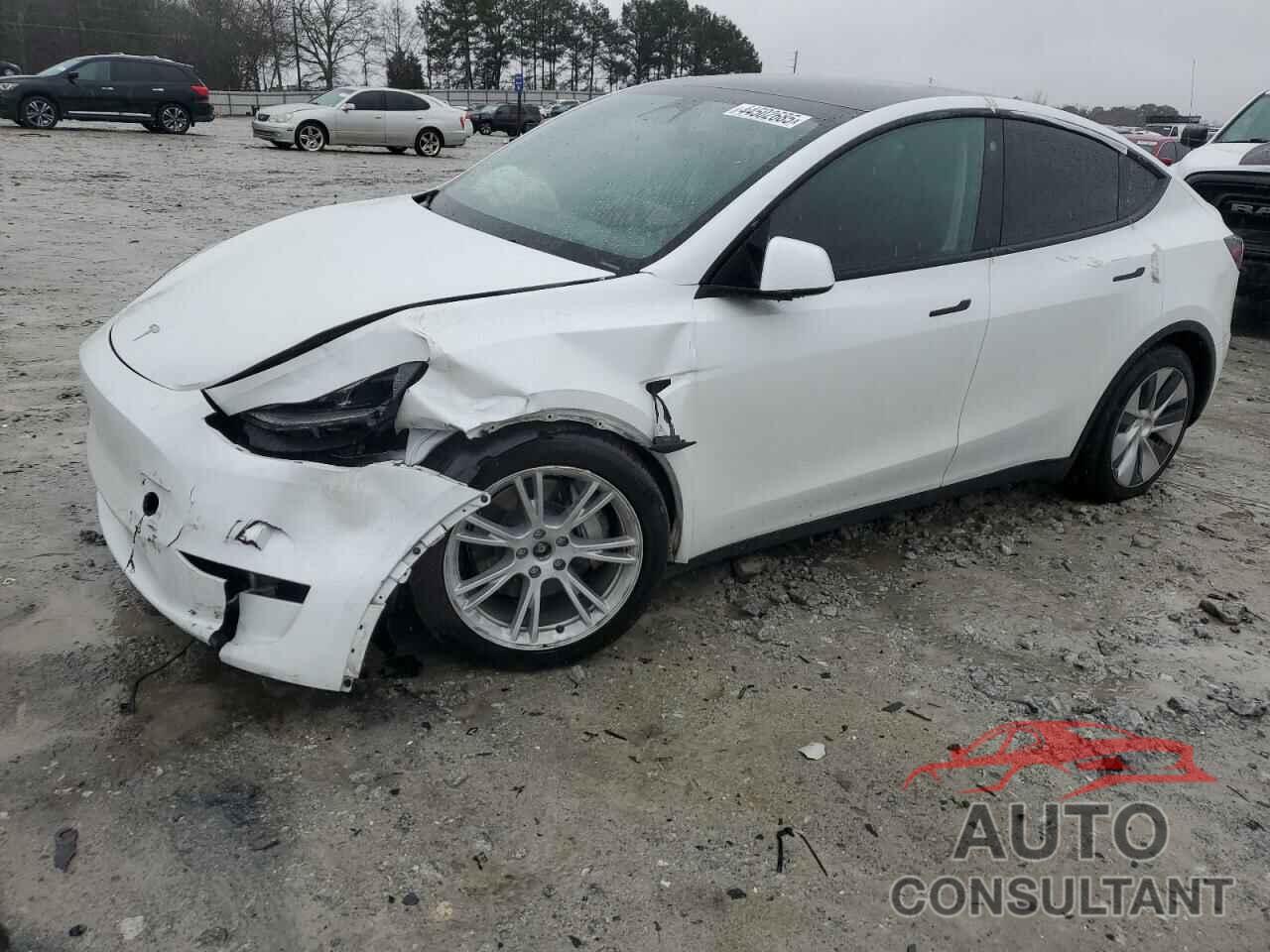TESLA MODEL Y 2023 - 7SAYGDEE6PF704440