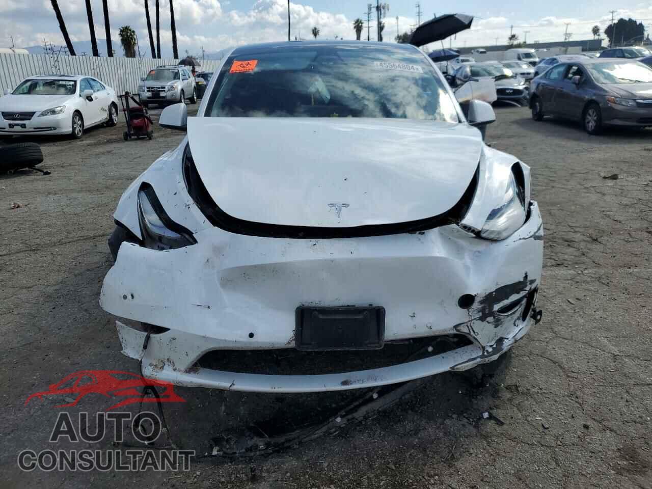 TESLA MODEL Y 2021 - 5YJYGDEE2MF063540