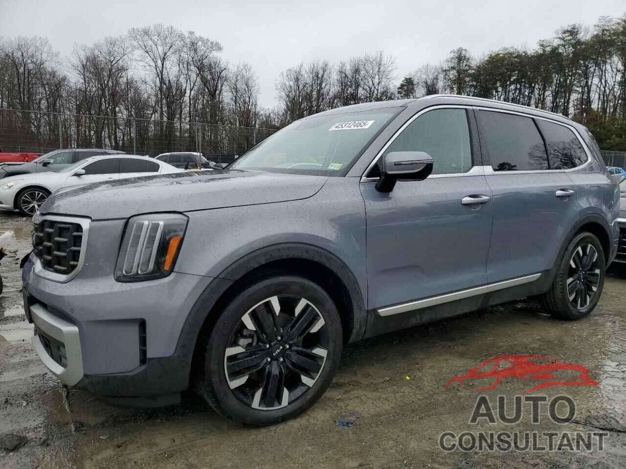 KIA TELLURIDE 2023 - 5XYP5DGC0PG335948