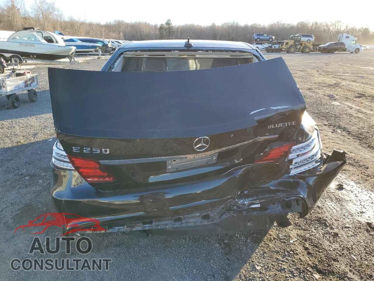 MERCEDES-BENZ E-CLASS 2014 - WDDHF9HB1EA976937