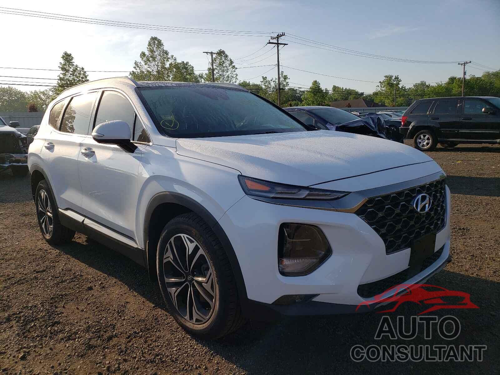 HYUNDAI SANTA FE 2020 - 5NMS5CAA0LH289372