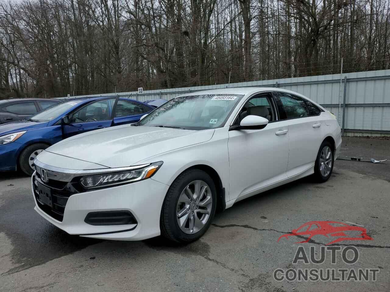 HONDA ACCORD 2019 - 1HGCV1F12KA117565