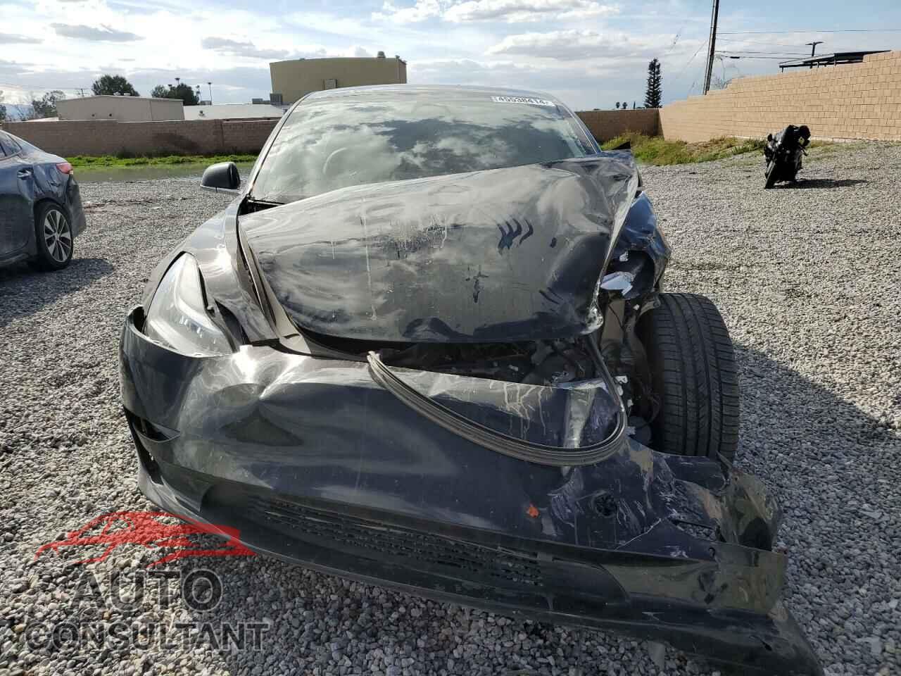 TESLA MODEL 3 2019 - 5YJ3E1EA2KF394787