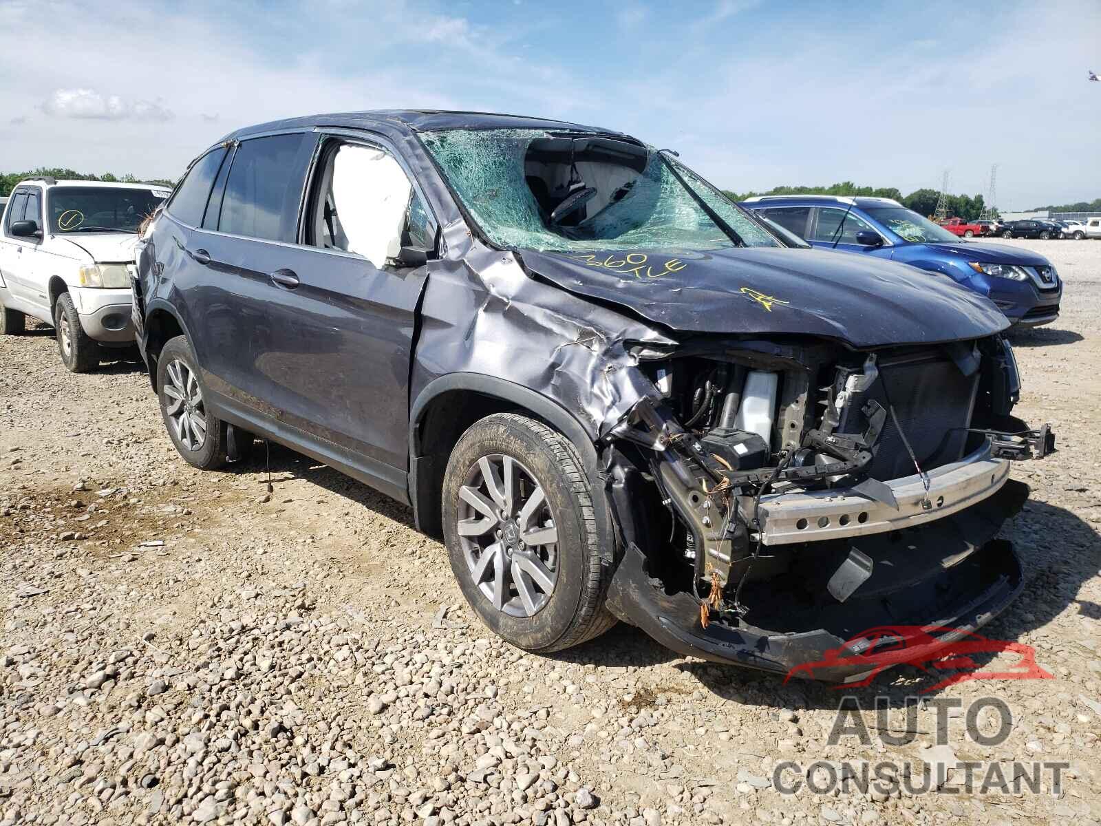 HONDA PILOT 2019 - 5FNYF5H54KB011313