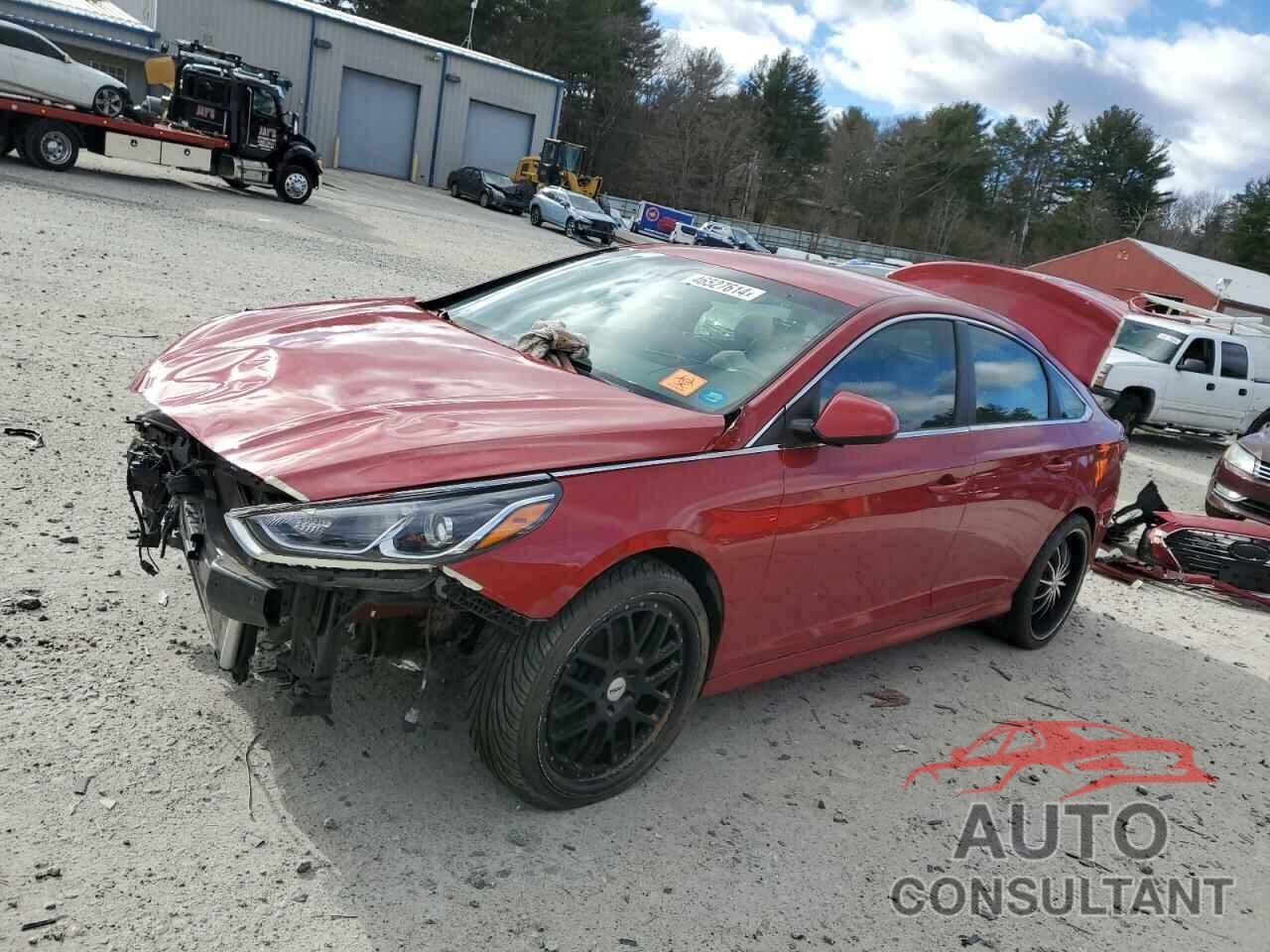HYUNDAI SONATA 2018 - 5NPE24AF8JH616981