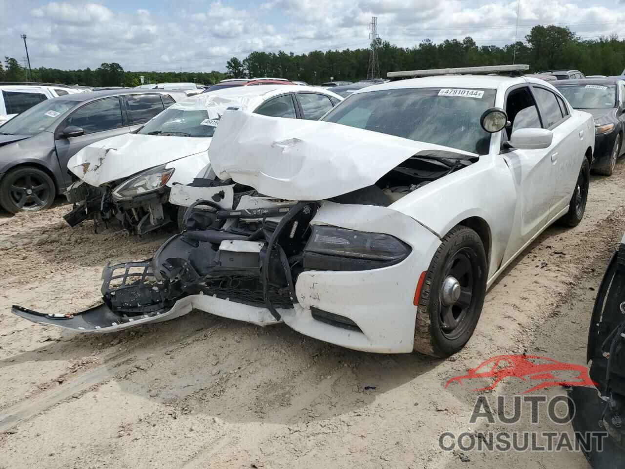 DODGE CHARGER 2019 - 2C3CDXAT0KH568349