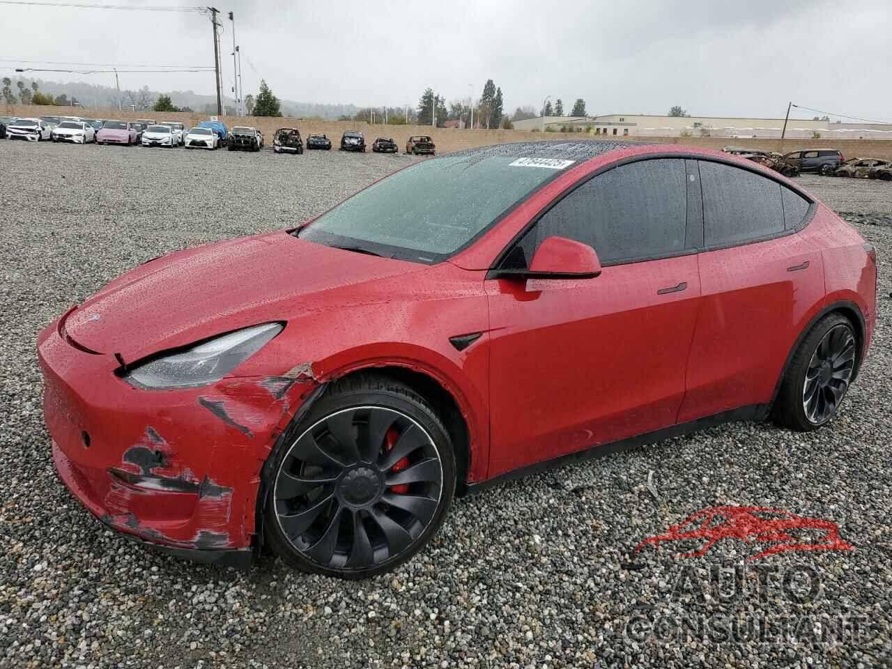 TESLA MODEL Y 2022 - 7SAYGDEF5NF493365