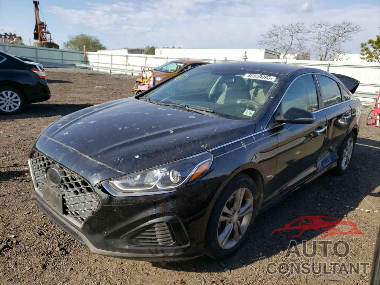 HYUNDAI SONATA 2019 - 5NPE34AF9KH743513