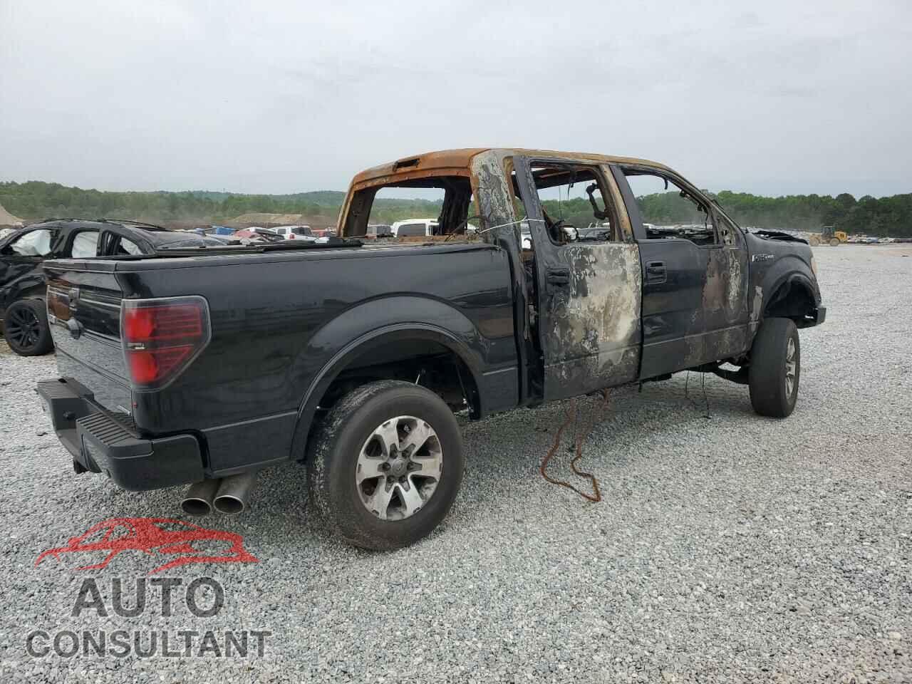 FORD F-150 2013 - 1FTFW1EF0DFD62389