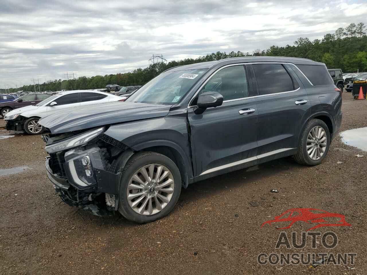 HYUNDAI PALISADE 2020 - KM8R54HE4LU044852