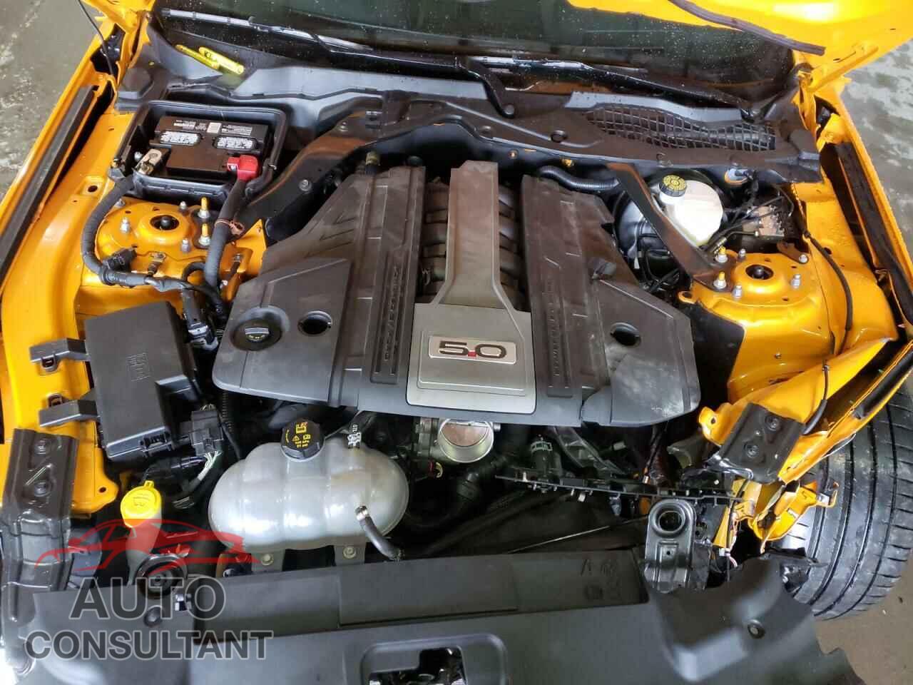 FORD MUSTANG 2019 - 1FA6P8CF8K5117745