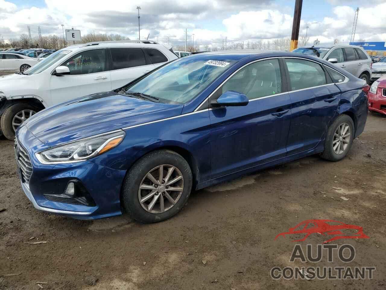 HYUNDAI SONATA 2019 - 5NPE24AF2KH783838