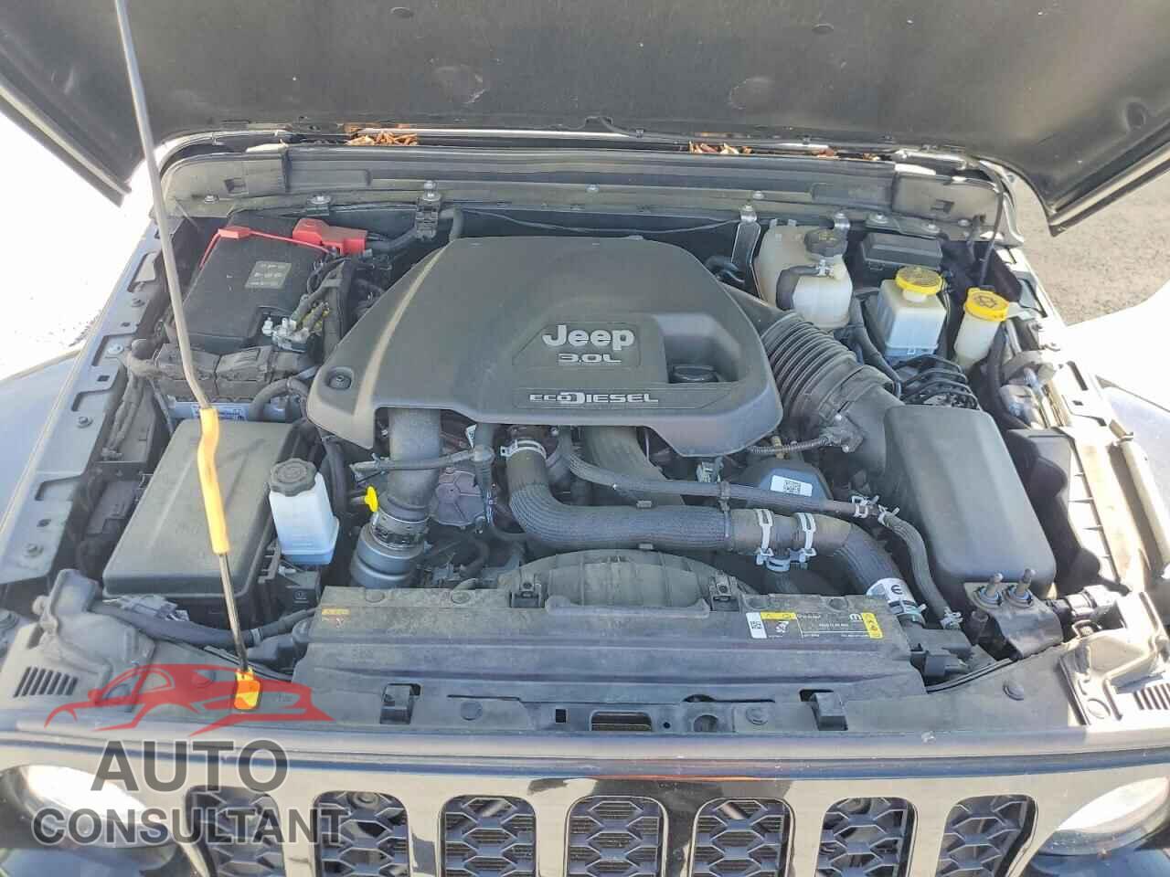 JEEP GLADIATOR 2021 - 1C6JJTAM2ML558948
